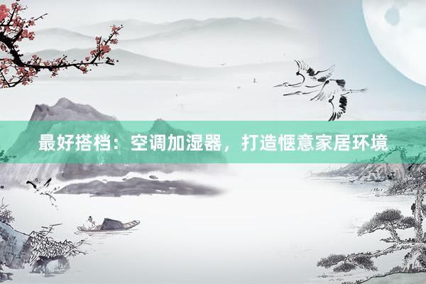 最好搭档：空调加湿器，打造惬意家居环境